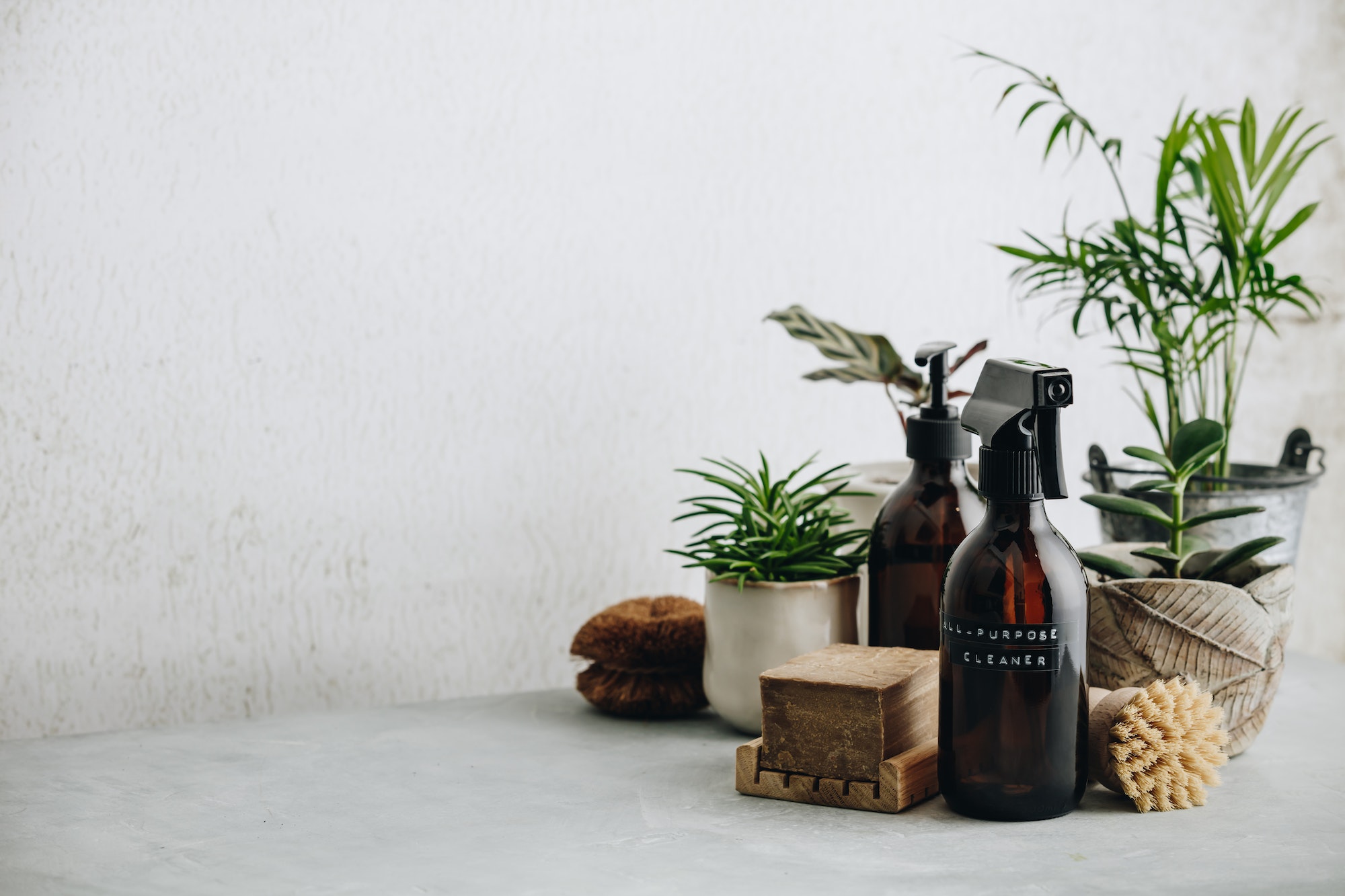 Various items and ingredients for eco home cleaning and house plants